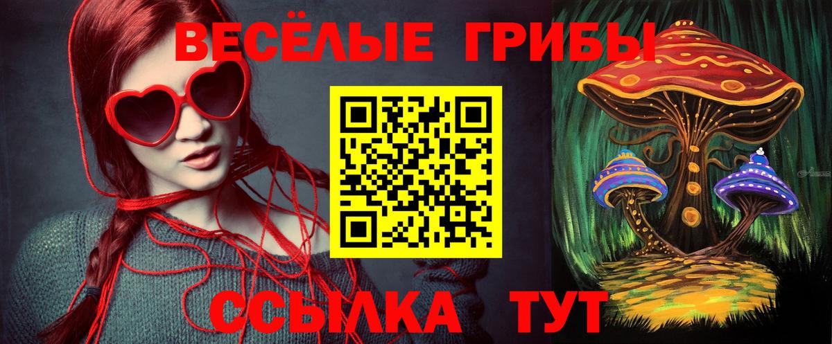 Псилоцибиновые грибы прущие грибы  Вход с VPN  Долгопрудный 